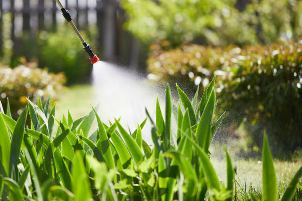 24/7 Emergency Termite Control experts in Des Arc, AR